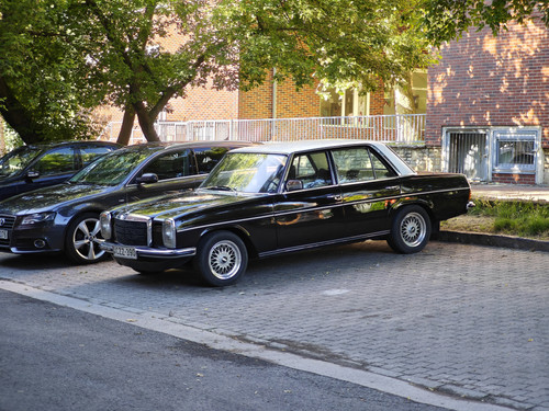 IMG 20240602 081142.jpg