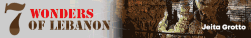 bannertop.gif