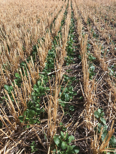 GO7KRsbWIAA4yYe?format=jpg.jpg