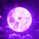 f93e5256e92d78b10c5715fcbfed477f.gif