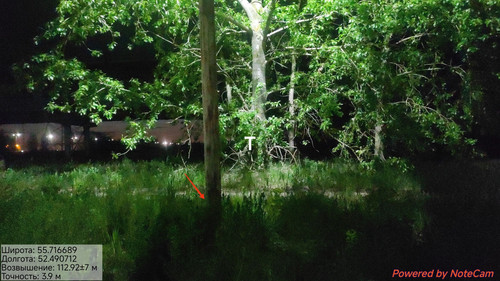IMG 0440.jpg