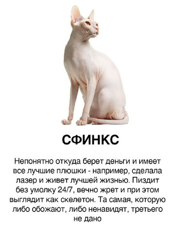 XEwcFDmnPIjYgTVyzdCGhJAJ4Z M0sGl2d9mSbXiKDngfl3jbejIKjuBgZfZtPG2MndEd9lMpn oIAt WkXiFzvmdg8WCVkScIBr.jpg
