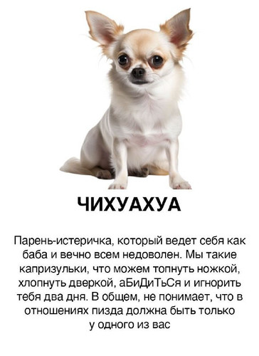 ojJO5ciBavhFWwIUvGwJfct8BrxErdEK6U8p8 xBePlH1P6UhyLUH7s imB1yKOSk2rIpWm4GqV2gfGgkhpJ9sfK6v9GWVm9QrDO.jpg