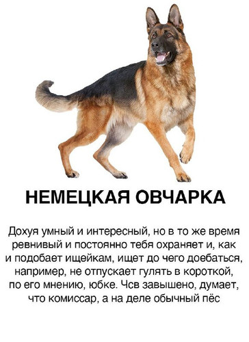 V4td6HCoa37QA14 zg4yFo7tWcMMdqeUZ30AneNJaz1HB ni0wm 8iFn4AysABuOc05xO9UqZoLqYfJ4Z072PxWjKm b0mjehOLS.jpg