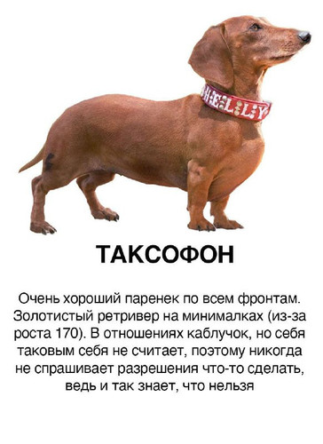 aGGFWLuYPwNV8IzjCP8Xbp61lD7mWTiP5uUjuGos6 x5N8E3cxZRQ4HW 8mqSi3GUhCaKoVye0BZp65nLy5WjtReajUczbNjlNZU.jpg