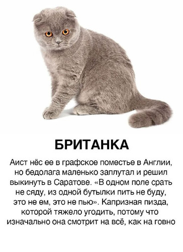dI6 HZcPx6MVEL9eqHV70oWTg2gFnXO18qlt4t1AJQQrv0KliLAxjK4ozF Em3afnpKN3L9P58ktQOhWUp4nJH9jdTB7UbDgLfwh.jpg