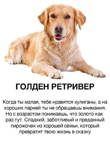 USzLyCxjCpfljZApoV9YnflmoZlqO5fmchywgDQkakJBh2a0CI7i3lZjXAupNka3xVh2Oess9DRZgyy6w6vI0zXU1wQXOi lPAD2.jpg