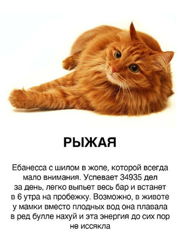 JMDmgf6nxJ7PthveH9Ul2eXoVKxzQ VsGM0XfF0lJn7xYiRRVtKUe5TsIPMfRJGNxyqd4rv5ZscCJkv9u vLbP3rRqKuG2aHMy9v.jpg