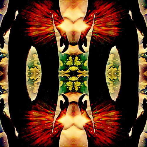 34679FDB D04E 42B1 A344 9087A21027F3.jpg