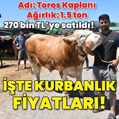 447568495 986758100119837 6488473080192022038 n.jpg?stp=dst jpg p526x296& nc cat=105&ccb=1 7& nc sid.jpg