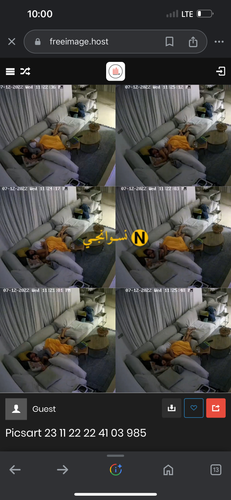 IMG 0504.png