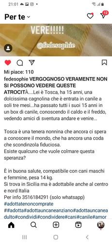 GPAozt WMAAo81C?format=jpg.jpg