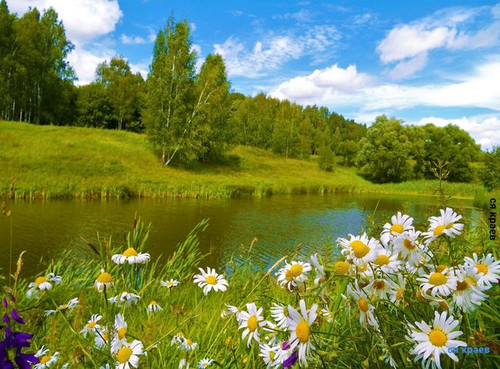 Природа Рязанской области 2.jpg