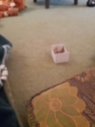 JPEG ٢٠٢٤٠٦٠١ ١٤٠٢١٧ 5790303669735081251.jpg