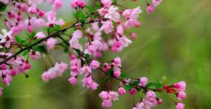 12451590067552926335?url=https%3A%2F%2Fwww.24news.am%2Fsites%2Fdefault%2Ffiles%2F2024 06%2F%25D5%25A.jpg