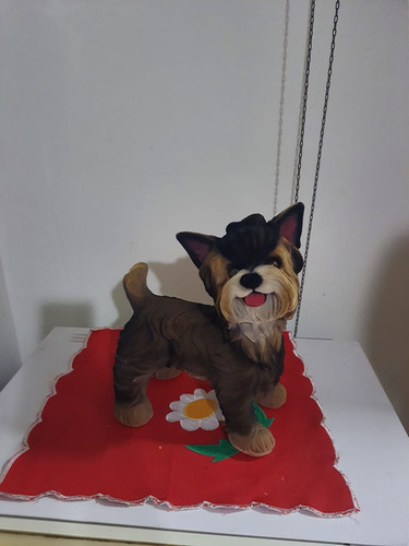 Cachorrinho1.1