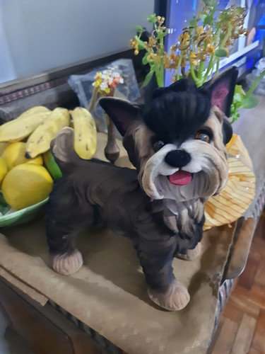 Cachorrinho2.1