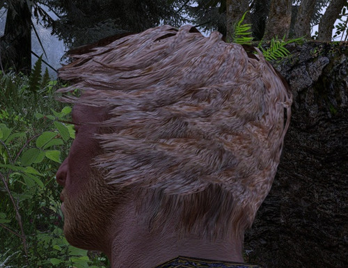 Talsgar.jpg