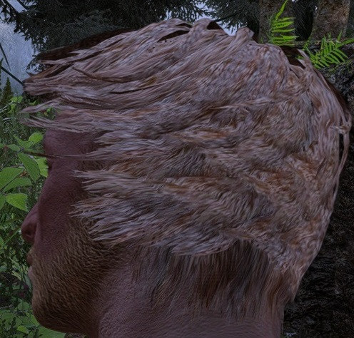 Talsgar.jpg