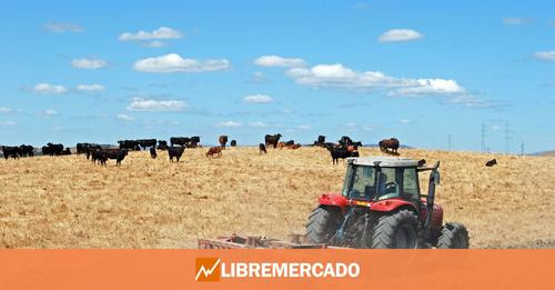 4694273875539577881?url=https%3A%2F%2Fs.libertaddigital.com%2F2024%2F05%2F07%2F1200%2F627%2Flm%2Ftra.jpg