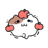 1wvwbmstbb5xgju4z8inug0ml.gif