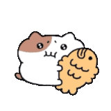 piba4o5njsfhwmvn6kxr79bq.gif