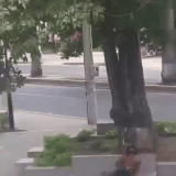 GIF 240602 062348.gif