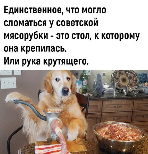 XeKLxhaVKe6PBh80rV 3AoApVD83t60Kd4IzGLY8opH2tjlCmZ3VbsypFAWtgvXXKA2TKkXZ6bILzXmdLPDf89n D7e0NucNEN89.jpg