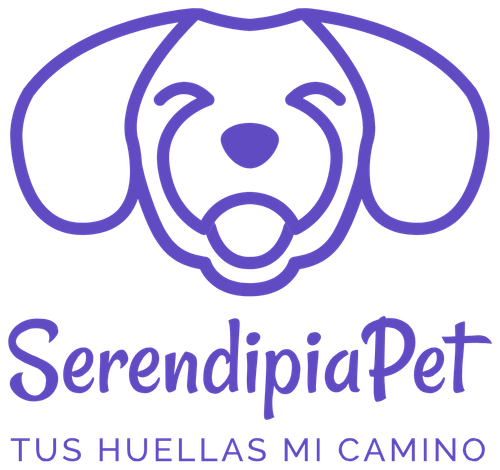 logo 2.png