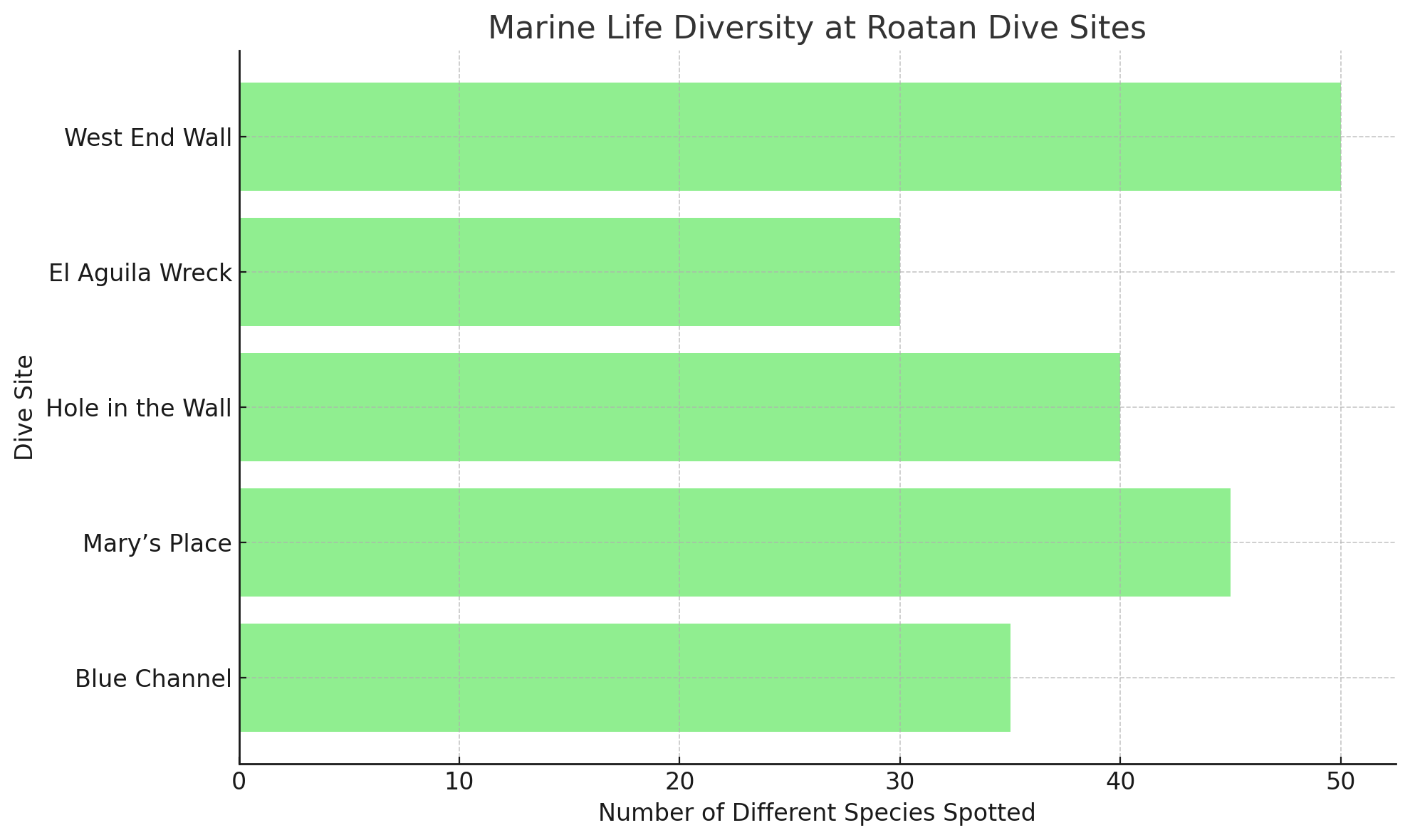 Marine Life Diversity Graph