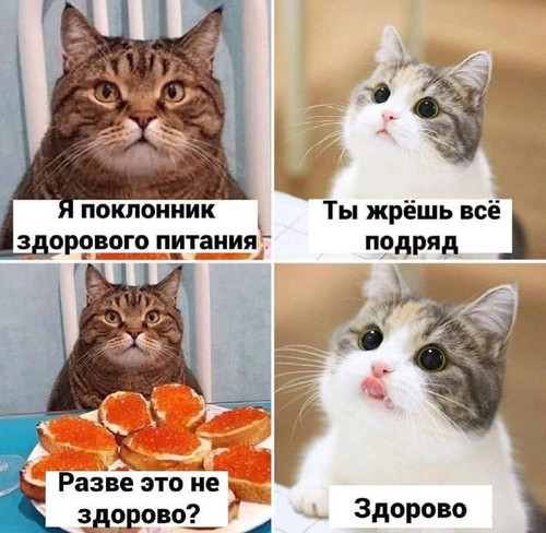 KfQQ6 G8uu22YAU96fnXR5ckcfbcwi3wEC95HdidLcBMInQ0XK 3R2jgwfUHWfqspy1LBNgQ1jYKDTQZkFkL9Uc2097dsV9T2obG.jpg