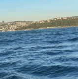 1000057506.gif