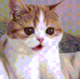  I06(ZVQ4}[6ALQS$O82Y5P.gif