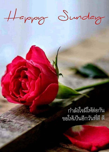 6b525fb3d514ab6a333edaa1af96ba1d.jpg