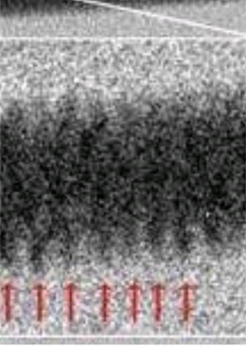 1717265463385.png