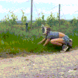 1716287232 3372783953813849056 58482669407(1).gif