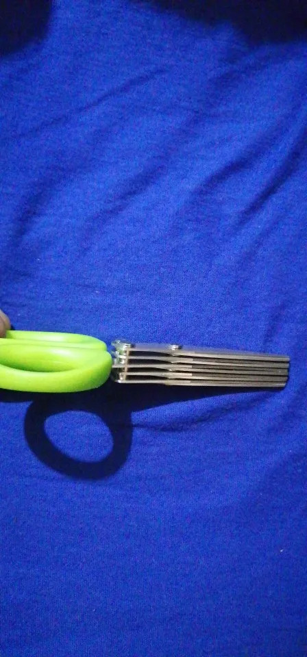 cb40a903 20b3 45f3 9fec 6a1d77e78431.jpg