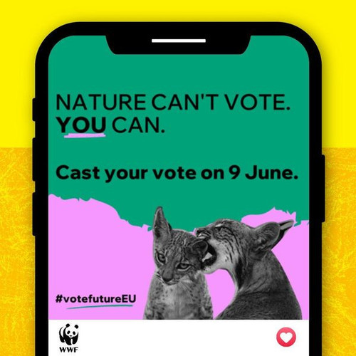 441870786 995187201972174 6336661640858441846 n.jpg?stp=dst jpg p600x600& nc cat=106&ccb=1 7& nc sid.jpg