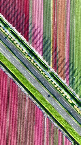 i5SH FnZSfBuDHCV.jpg