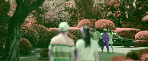 Chasing.the.Dragon.2.Wild.Wild.Bunch.2019.2160p.WEB DL.AAC.H265.DV MISS.mkv 20240128 141716.045.png