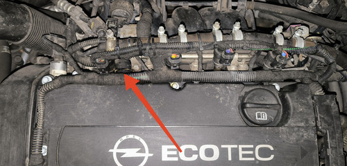 IMG 20240129 195111.jpg