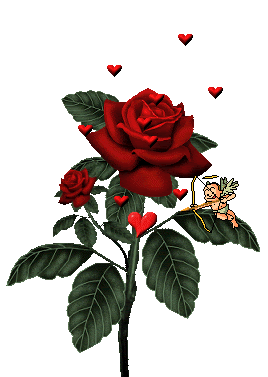 for you ROSE.gif