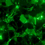 BG MENU ICON OMEGA89.gif.gif