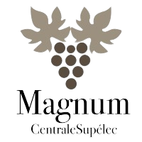 logo removebg preview (2).png