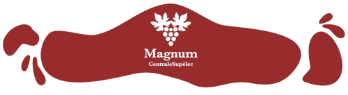 bandeau removebg preview.png