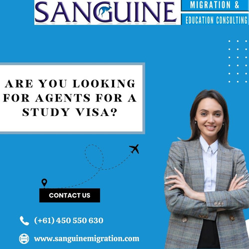 Are you looking for agents for a study visa.jpg