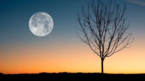 how to photograph the moon header.jpg