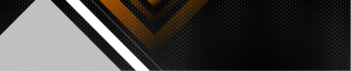 Lanfox footer.png