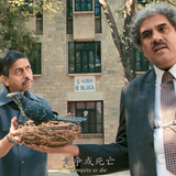 3.Idiots.2009.BluRay.1080p.Proper.2Audio.DTS HD.MA.5.1.x264 beAst.mkv 20240125 225410.818