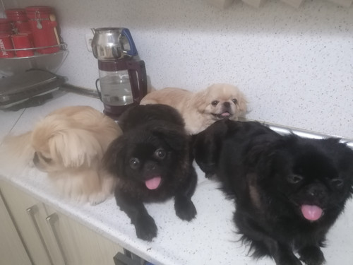 IMG 20230906 085731.jpg